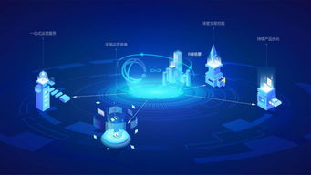 大數(shù)據(jù)基因驅(qū)動創(chuàng)新，金融科技與社交電商共筑未來——賀霖梓控股創(chuàng)業(yè)兩周年